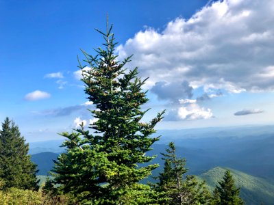 View from Devil's Courthouse, Balsam Grove, NC 