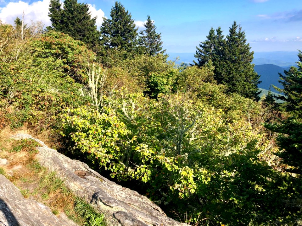 View from Devil's Courthouse, Balsam Grove, NC 
