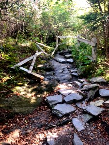Dilapidated Access Trail, Devil's Courthouse, Balsam Grove… 