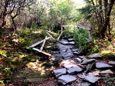 Dilapidated Access Trail, Devil's Courthouse, Balsam Grove… 