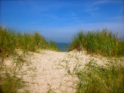 Sand north sea path photo