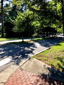 Oval Drive Park Streetcar Stop Site, Watts-Hillandale, Dur… 