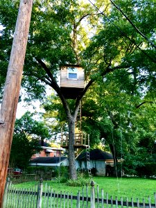 Treehouse, Buchanan Boulevard, Trinity Park, Durham, NC 