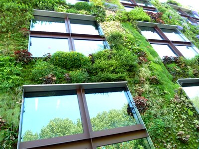 Planted nature botany