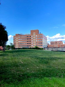 Liggett & Myers Chesterfield Cigarette Factory, Brightleaf… 