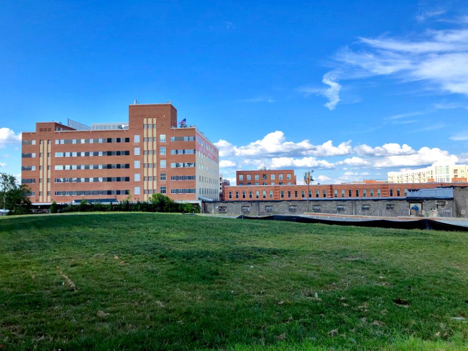 Liggett & Myers Chesterfield Cigarette Factory, Brightleaf… 