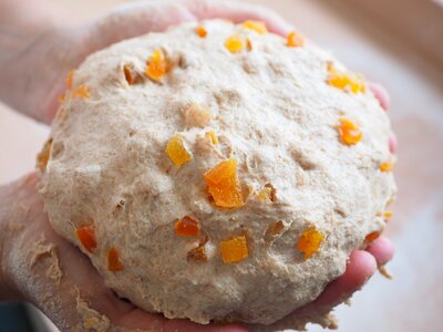 Knead dough apricot bread