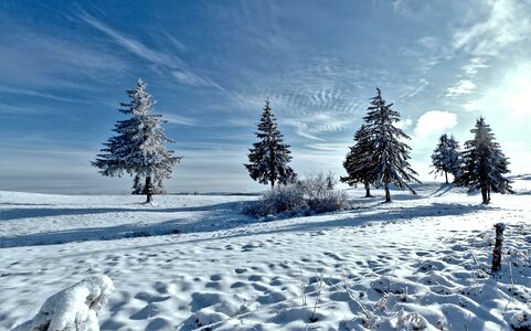 Nature horizon cold