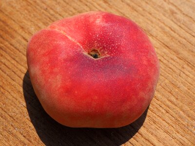 Pome fruit stone fruit fruit