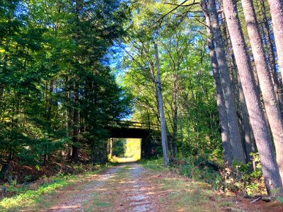 Marston Hill Road Railroad Underpass, Webster Lake, Frankl… 