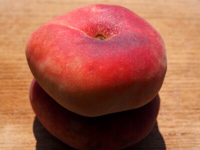 Pome fruit stone fruit fruit