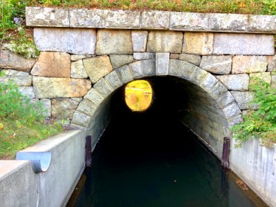 Chance Pond Brook Railroad Culvert, Webster Lake, Franklin… 