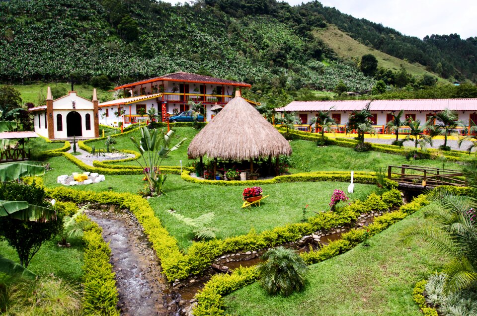 Coffee coffee-growing area antioquia photo