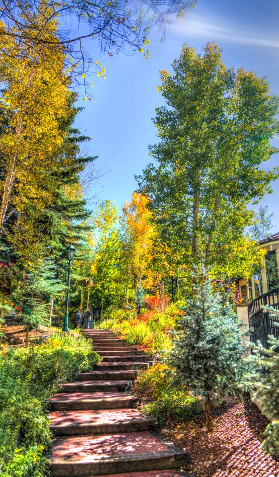 Fall path stairs