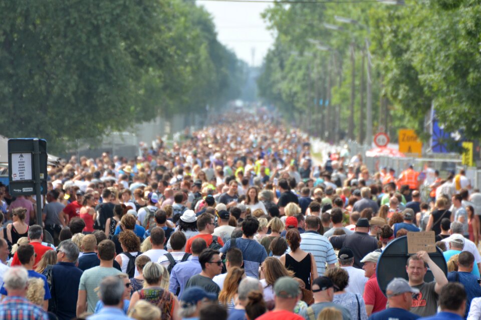 Crowds crowd demo