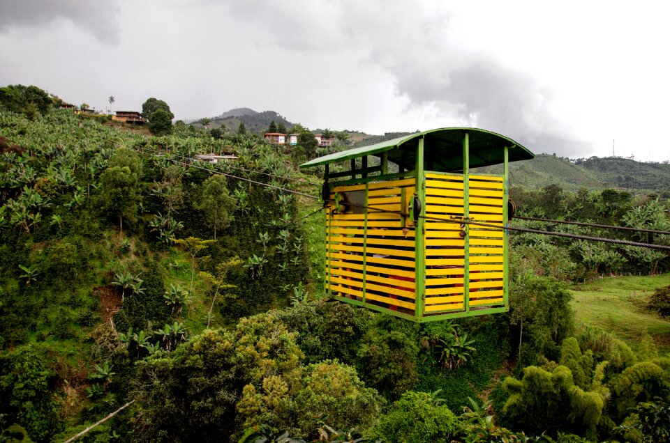 Coffee coffee-growing area antioquia photo