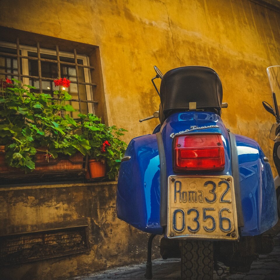 Rome park blue