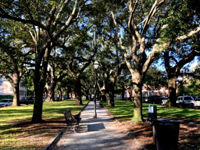 Wragg Mall, Wraggborough, Charleston, SC 