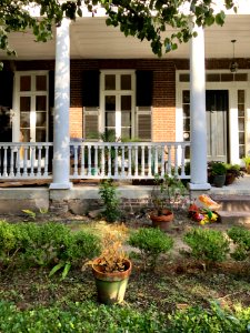 Wragg Square, Wraggborough, Charleston, SC 