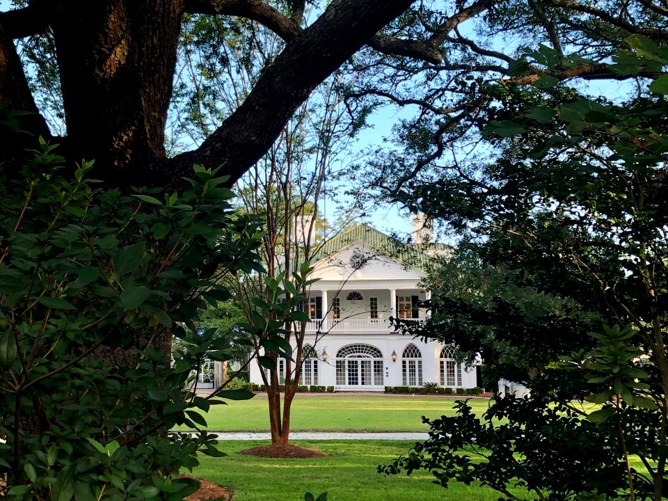 Lowndes Grove Plantation, Wagner Terrace, Charleston, SC 