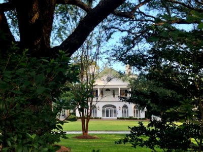 Lowndes Grove Plantation, Wagner Terrace, Charleston, SC 