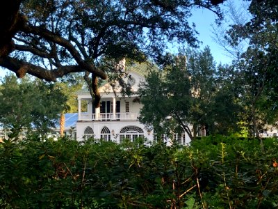 Lowndes Grove Plantation, Wagner Terrace, Charleston, SC 
