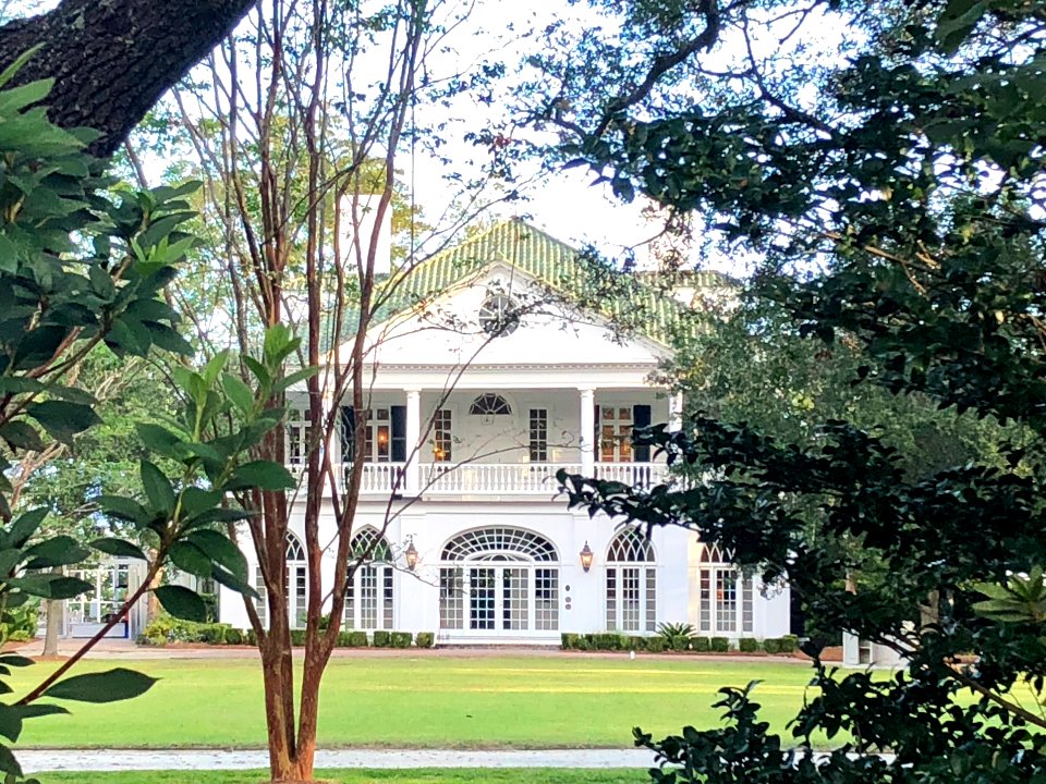 Lowndes Grove Plantation, Wagner Terrace, Charleston, SC 
