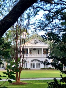Lowndes Grove Plantation, Wagner Terrace, Charleston, SC 