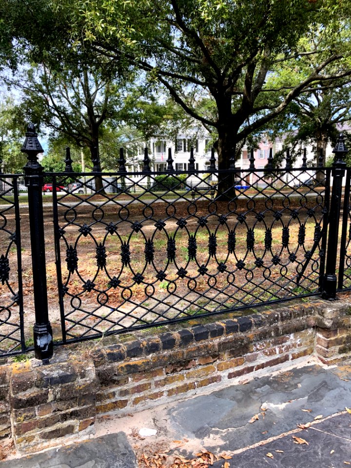 Fence, Wragg Square, Wraggborough, Charleston, SC 