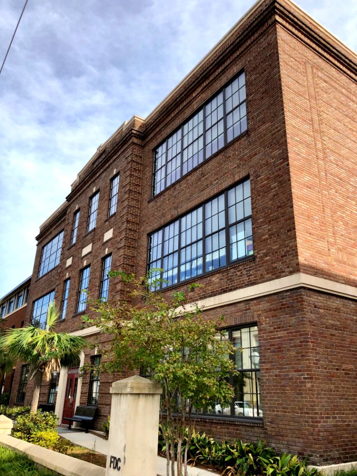 Buist Academy, Ansonborough, Charleston, SC 