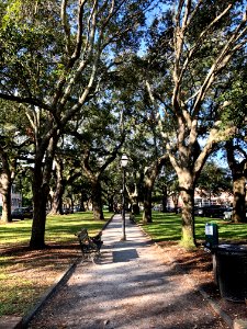 Wragg Mall, Wraggborough, Charleston, SC 