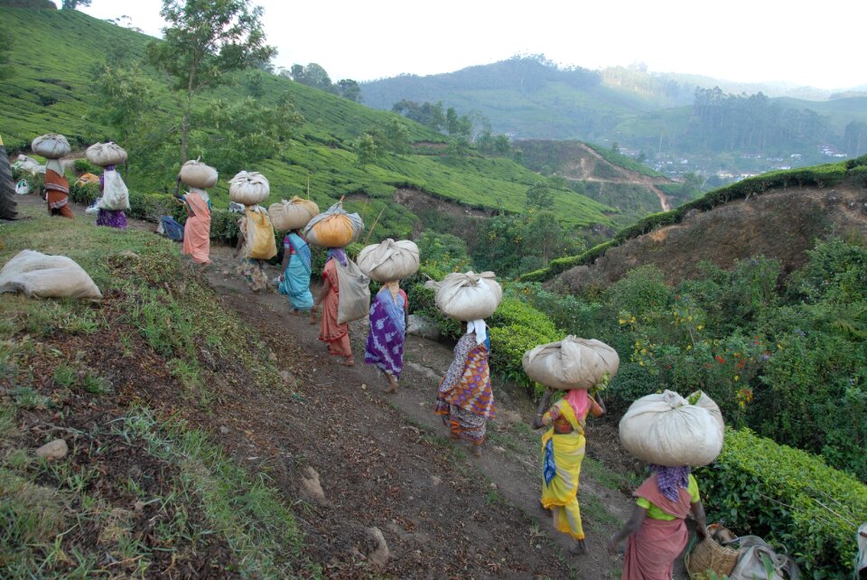 Women countruside farm