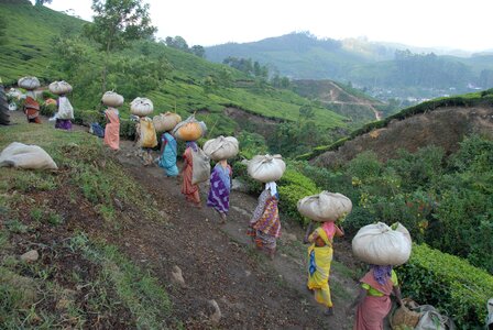 Women countruside farm