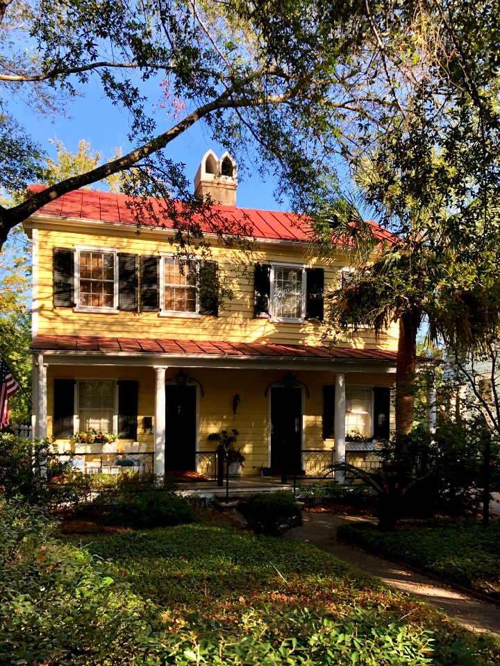 Bee Street, Cannonborough, Charleston, SC 