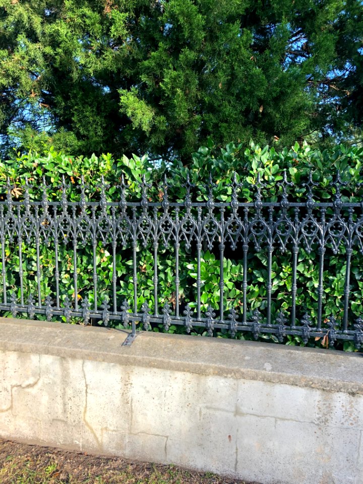 Fence, Lowndes Grove Plantation, Wagner Terrace, Charlesto… 