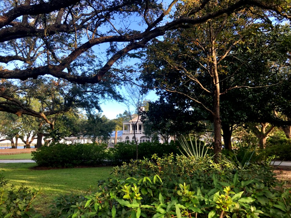 Lowndes Grove Plantation, Wagner Terrace, Charleston, SC 