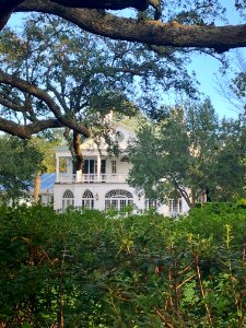 Lowndes Grove Plantation, Wagner Terrace, Charleston, SC 