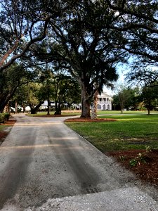 Lowndes Grove Plantation, Wagner Terrace, Charleston, SC 