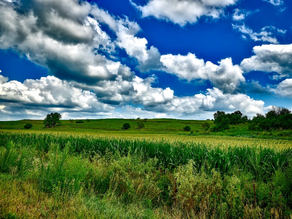Crop agriculture landscape