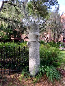 Fencepost, Wilson-Sottile House, College of Charleston, Ha… 