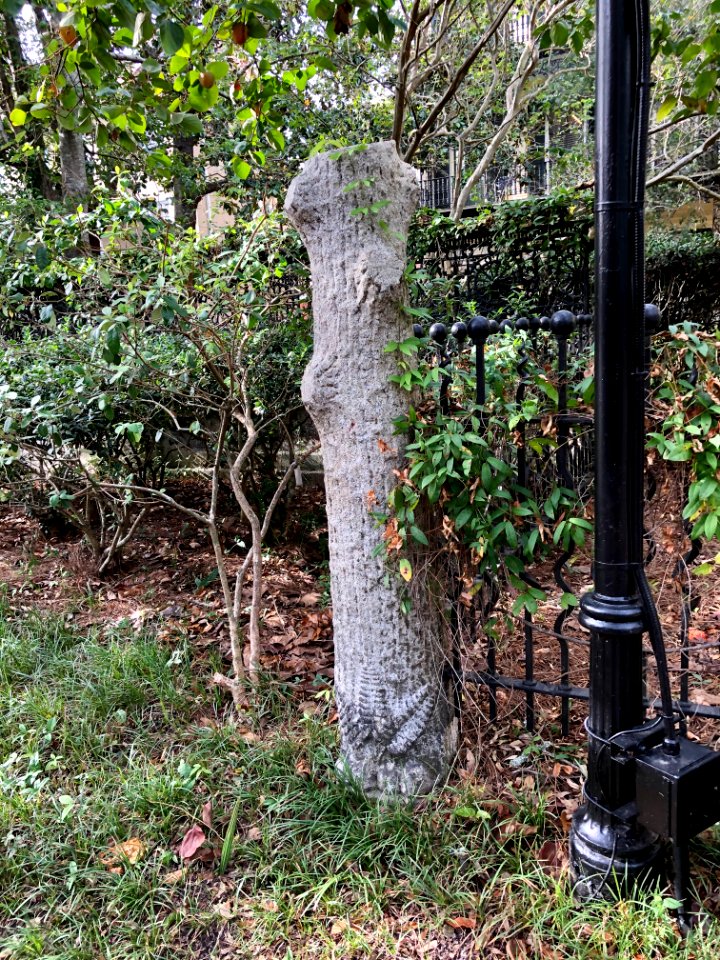 Fencepost, Wilson-Sottile House, College of Charleston, Ha… 