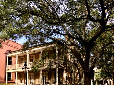 College Way, College of Charleston, Harleston Village, Cha… 