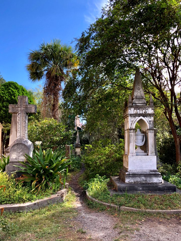 Graveyard, Unitarian Church in Charleston, Harleston Villa… 