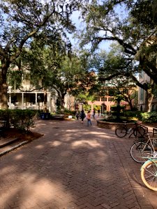 College Way, College of Charleston, Harleston Village, Cha… 