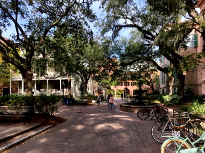 College Way, College of Charleston, Harleston Village, Cha… 