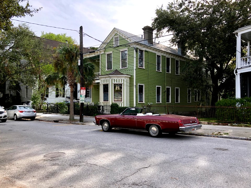 Pitt Street, Harleston Village, Charleston, SC 