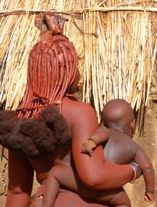 Egg sub-saharan africa indigenous