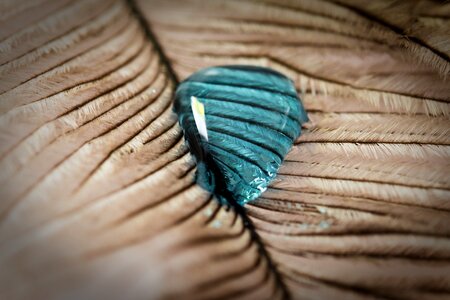 Close up macro background