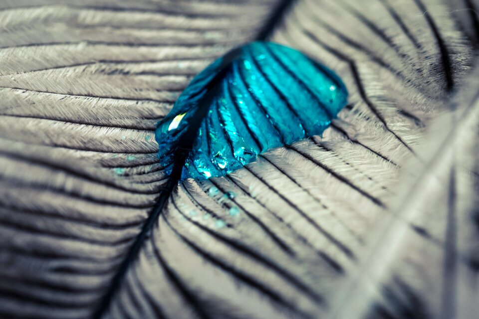 Close up macro background