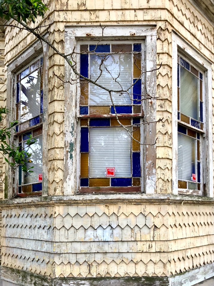 Radcliffe Street, Radcliffeborough, Charleston, SC 